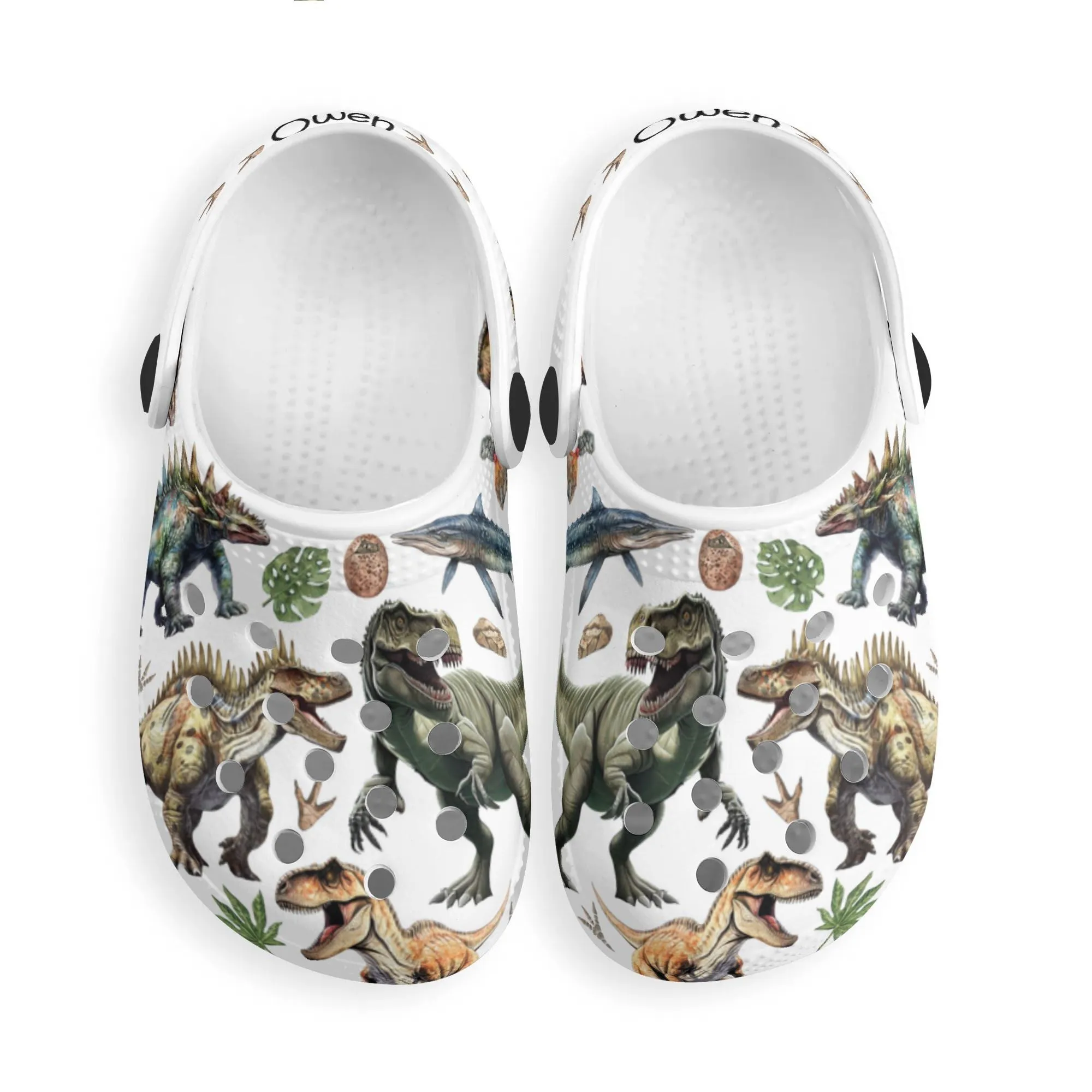 Custom Name Dinosaur Kid's Clogs