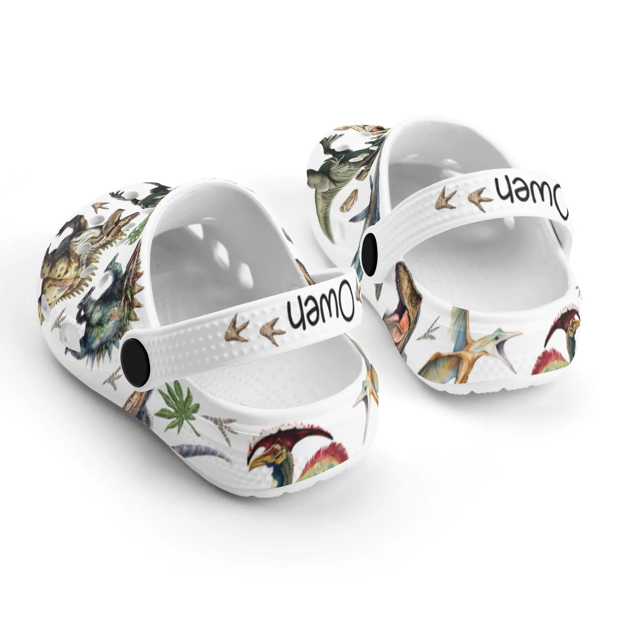 Custom Name Dinosaur Kid's Clogs