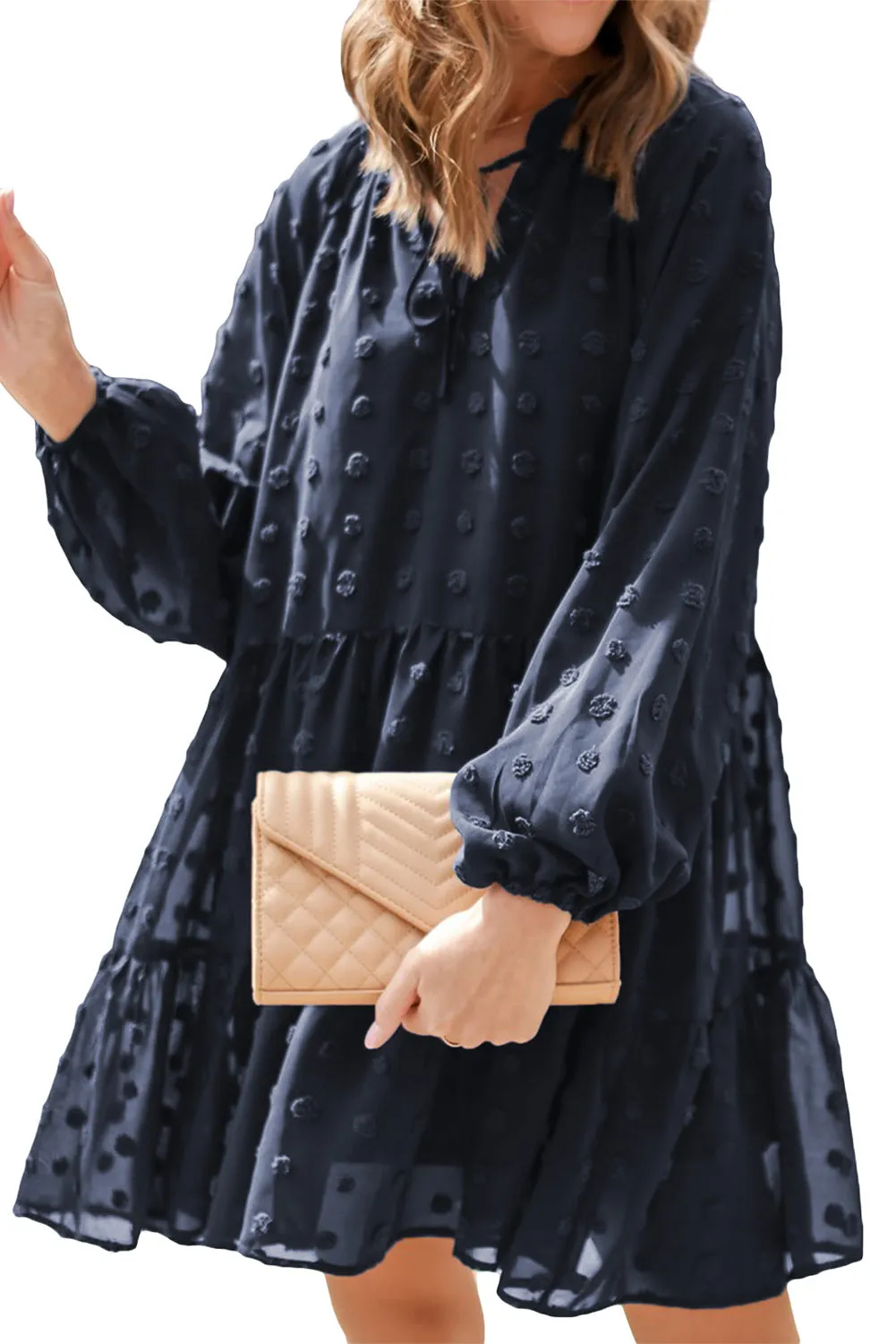 Dark Blue Swiss Dot Mesh Long Puff Sleeve Mini Dress